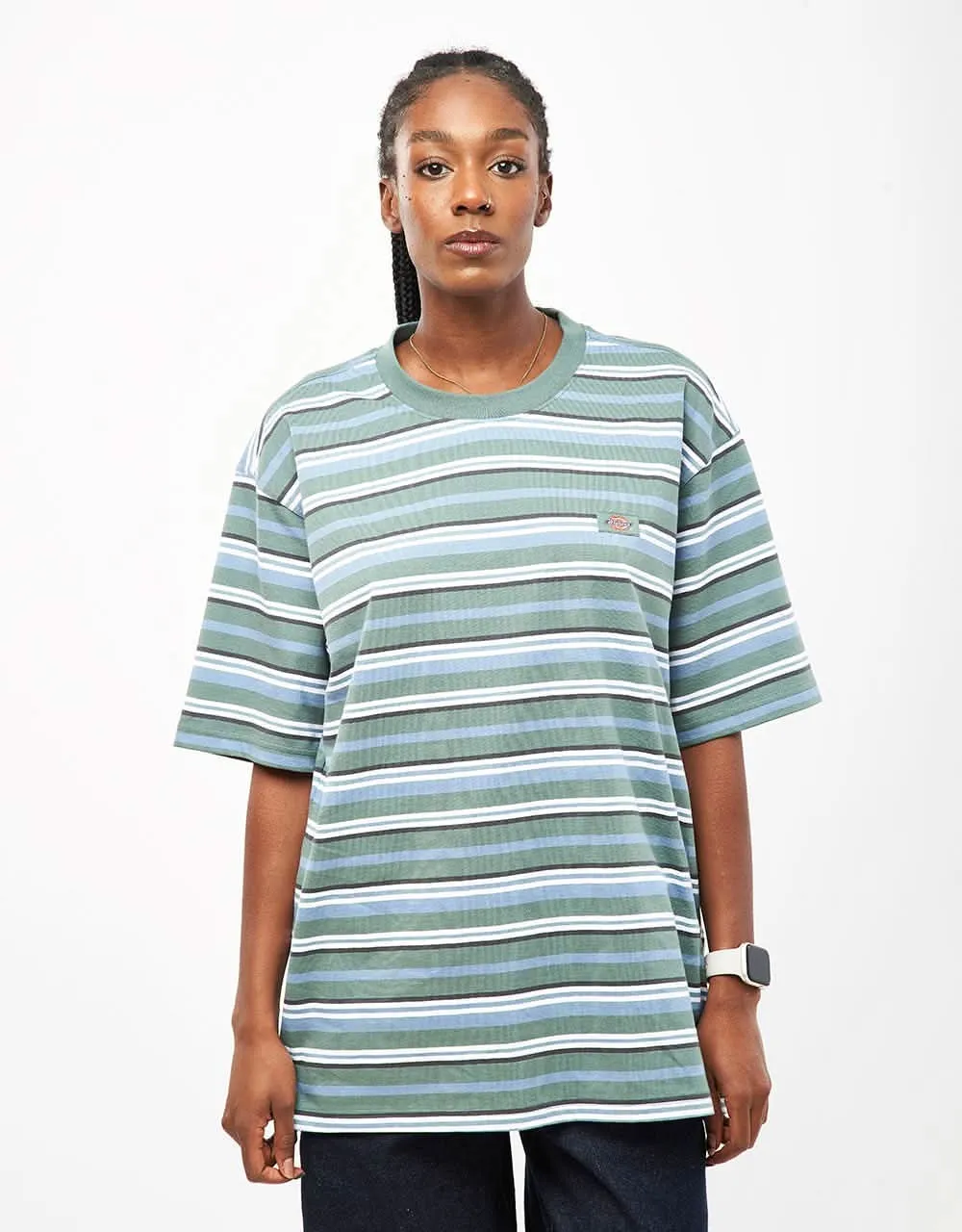 Dickies Glade Spring Striped T-Shirt - Horizontal Stripe Coronet