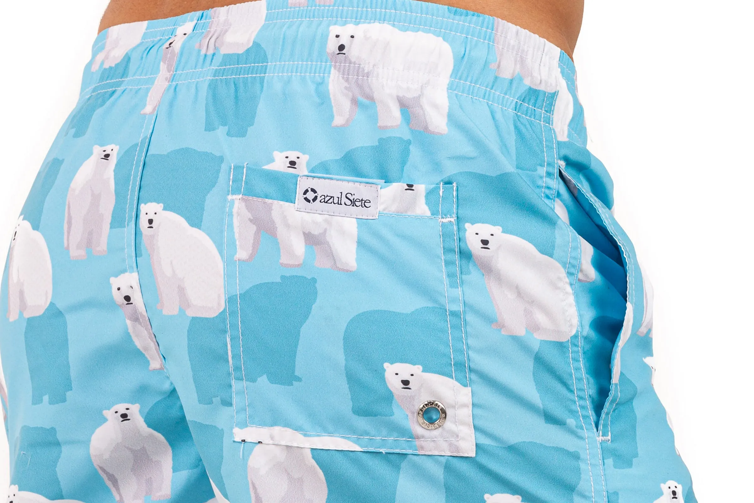 Polar Bears