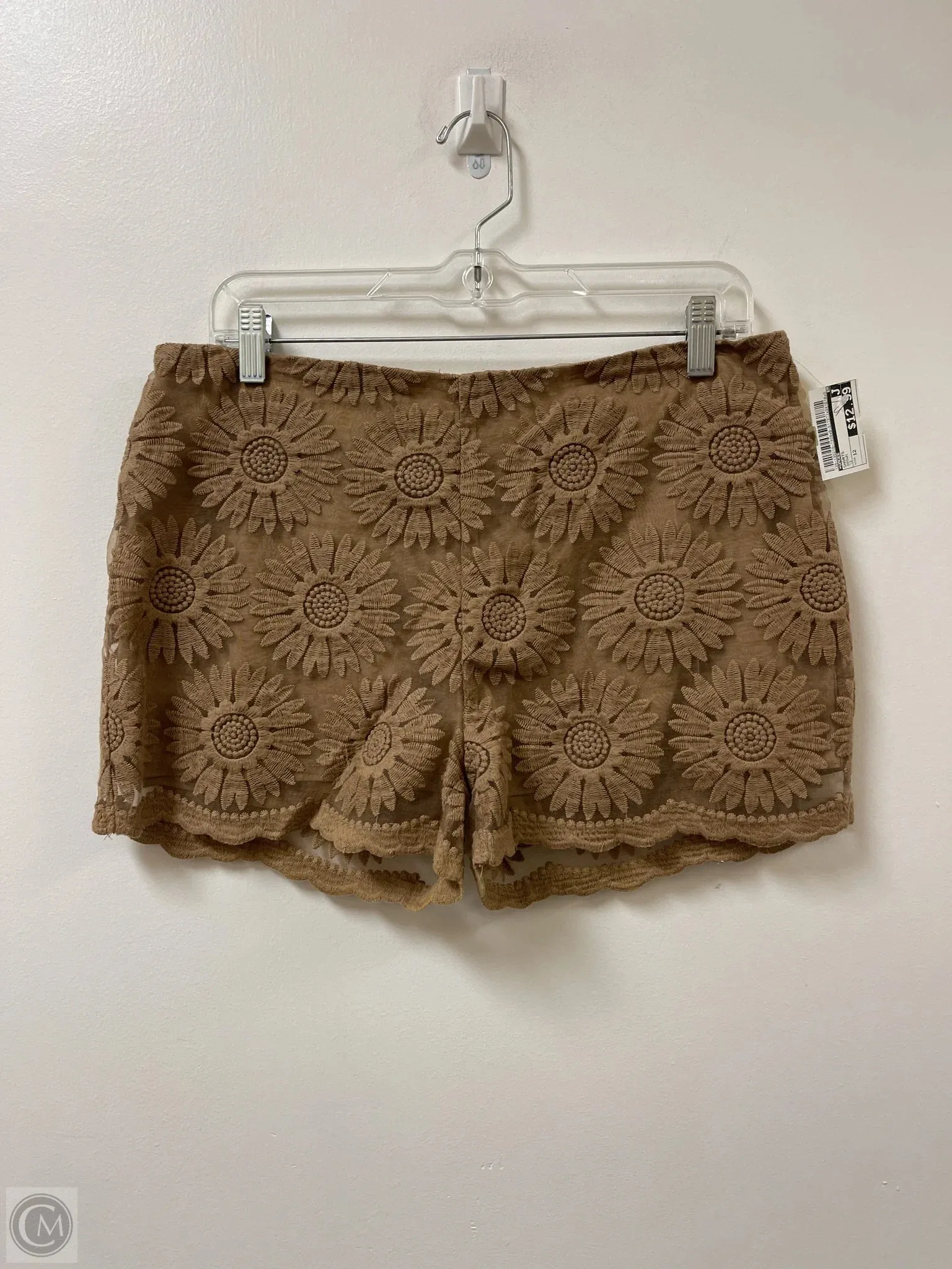 Shorts By Umgee  Size: 12